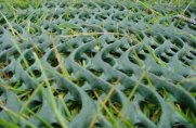GrassProtecta grass reinforcement mesh
